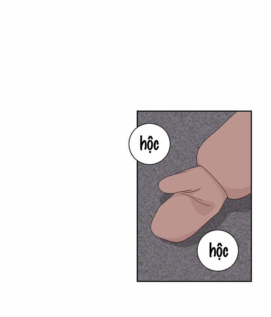 Toy Complex 37.3 trang 35