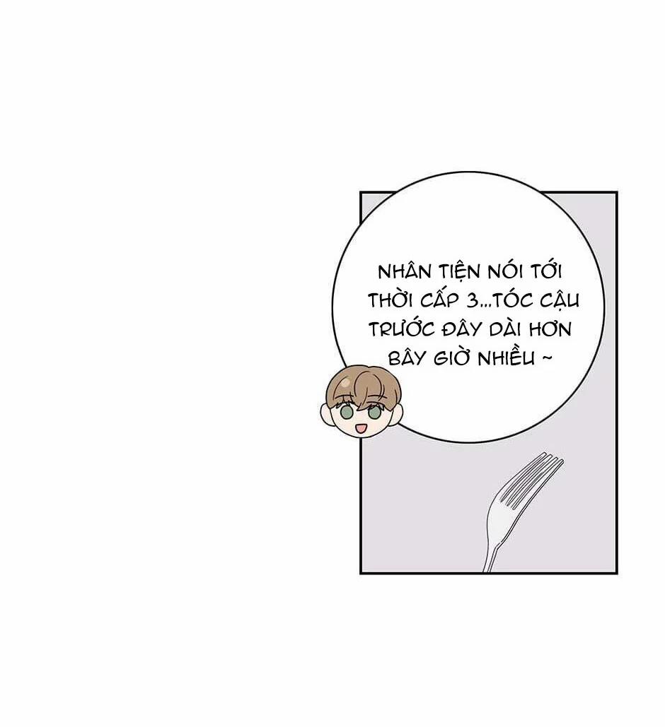 Toy Complex 42.1 trang 15