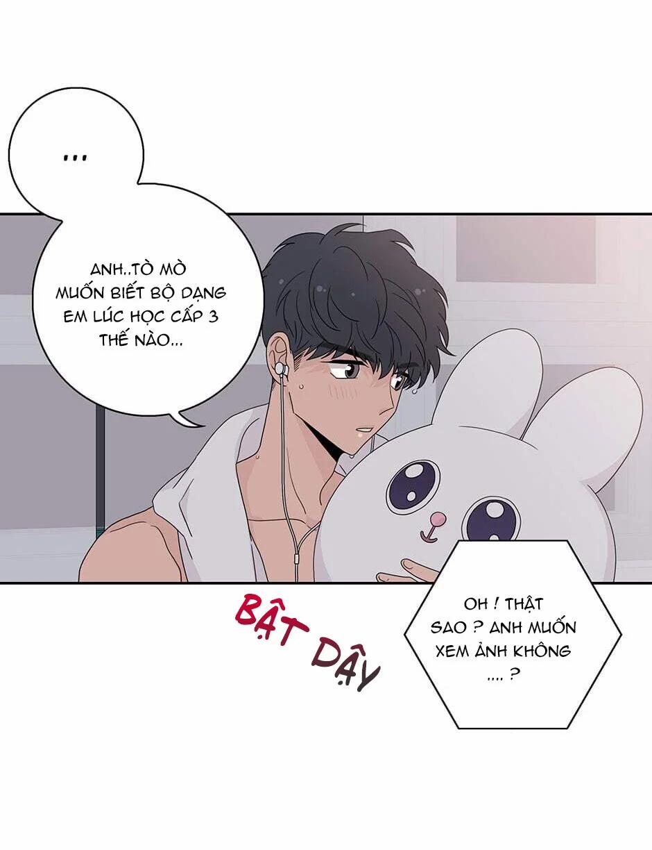 Toy Complex 42.2 trang 8