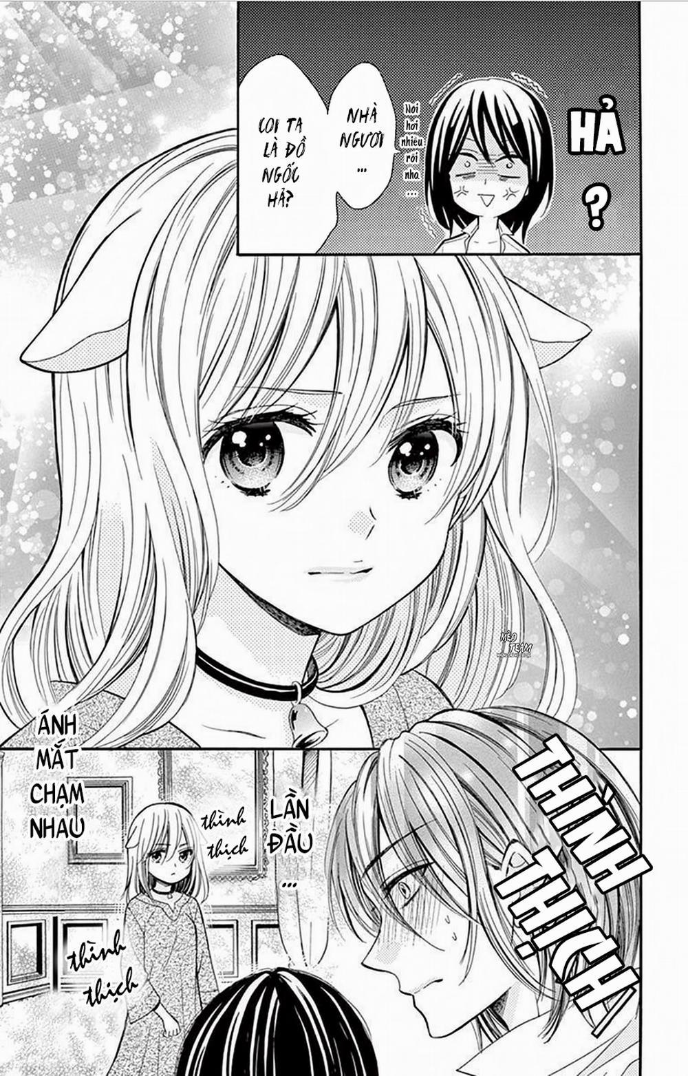 Tra nam và nhân thú 1 trang 21