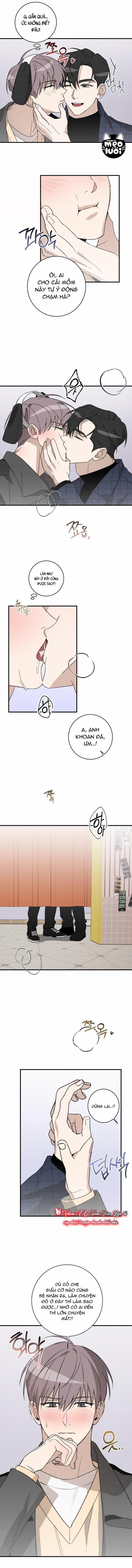 Trả Thù Tình Đầu 18 trang 8