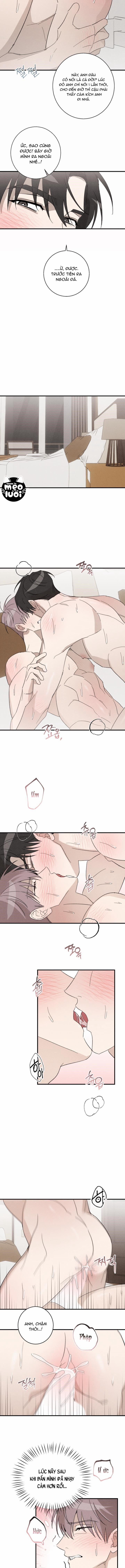 Trả Thù Tình Đầu 19 trang 9