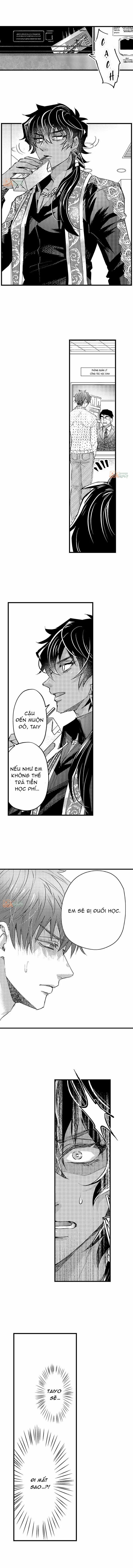 Trả Tiền Để Mơn Trớn 4 trang 5