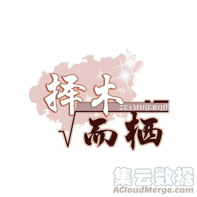 Trạch Mộc Nhi Tê 30 trang 1