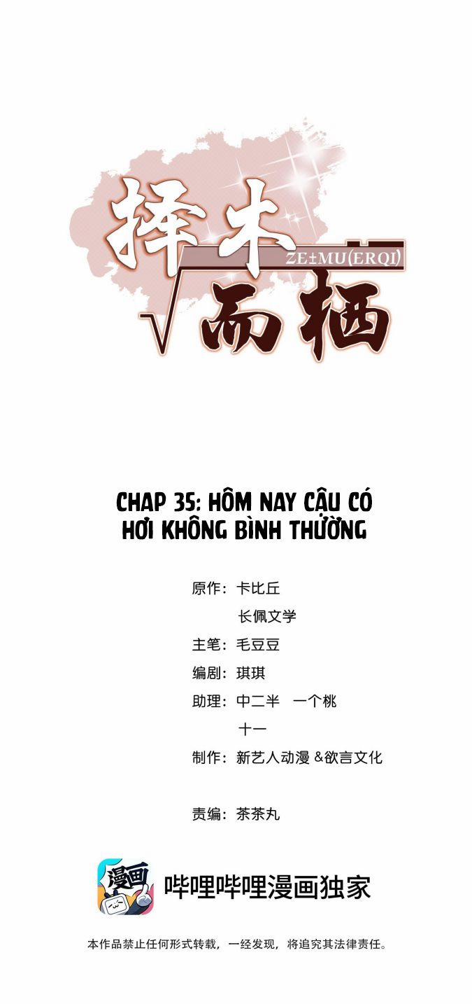 Trạch Mộc Nhi Tê 35 trang 1