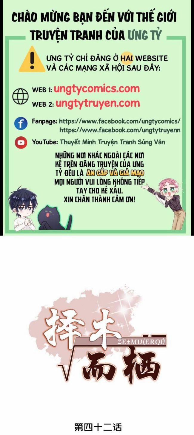 Trạch Mộc Nhi Tê 42 trang 0