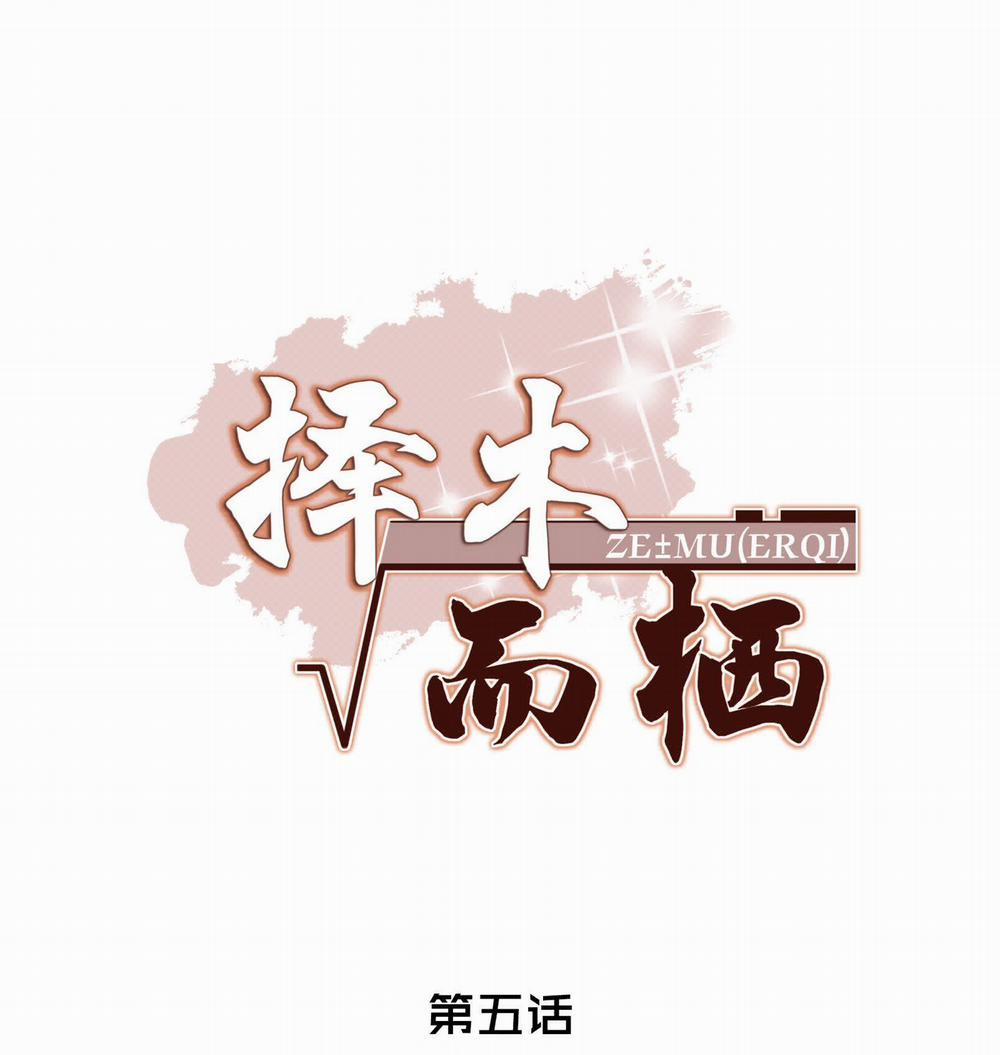 Trạch Mộc Nhi Tê 5 trang 0