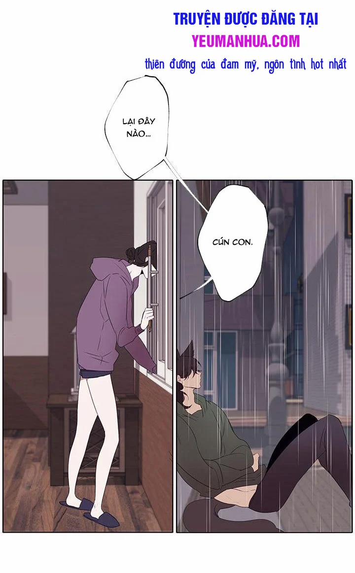 Trái Tim Cậu Bé Quàng Khăn Đỏ 1 trang 34