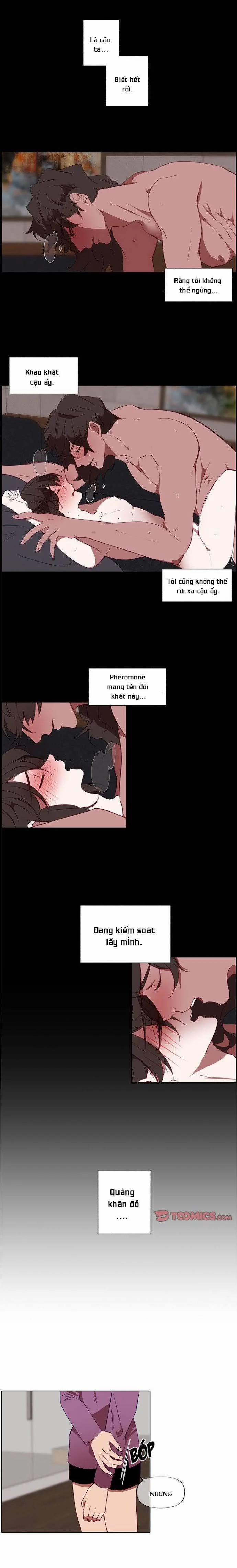 Trái Tim Cậu Bé Quàng Khăn Đỏ 15 trang 12