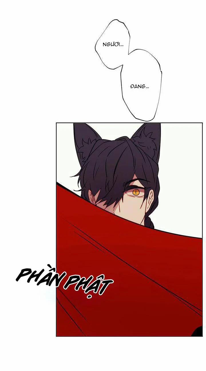 Trái Tim Cậu Bé Quàng Khăn Đỏ 2 trang 52