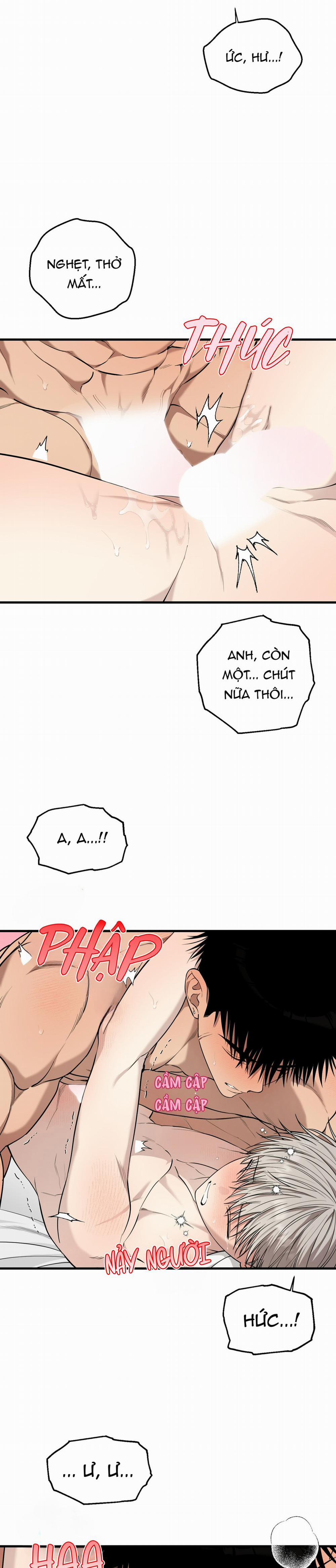 Trái Tim Đa Cảm 10 trang 11