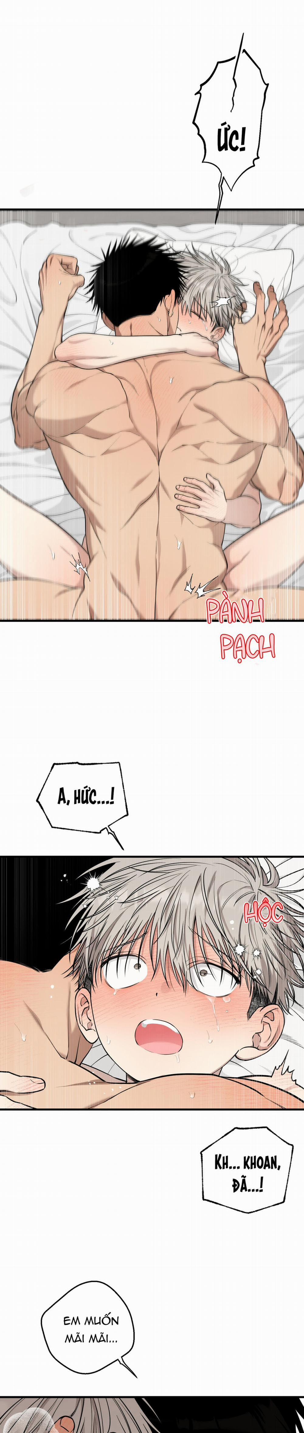 Trái Tim Đa Cảm 10 trang 15