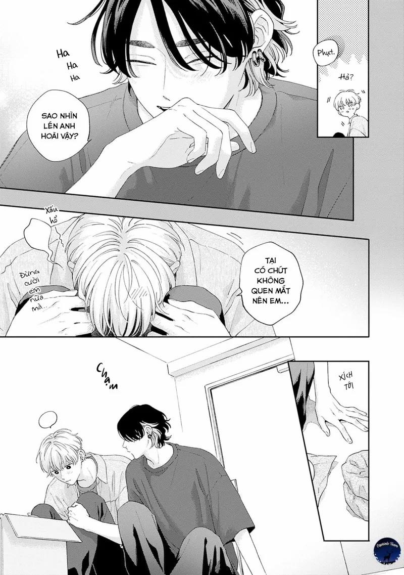 Trái Tim Mứt Hồng Beat – SS2 1 trang 16