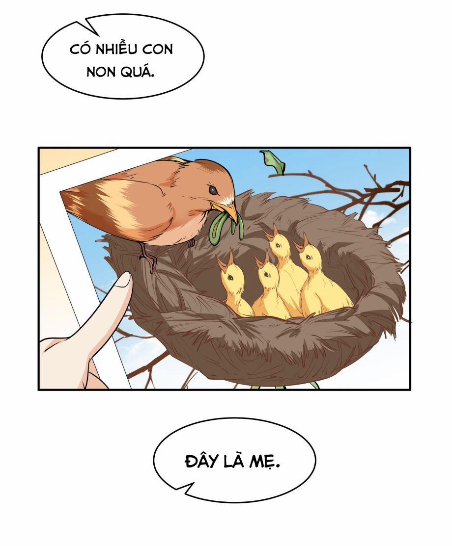 Trần Thương 21 trang 12