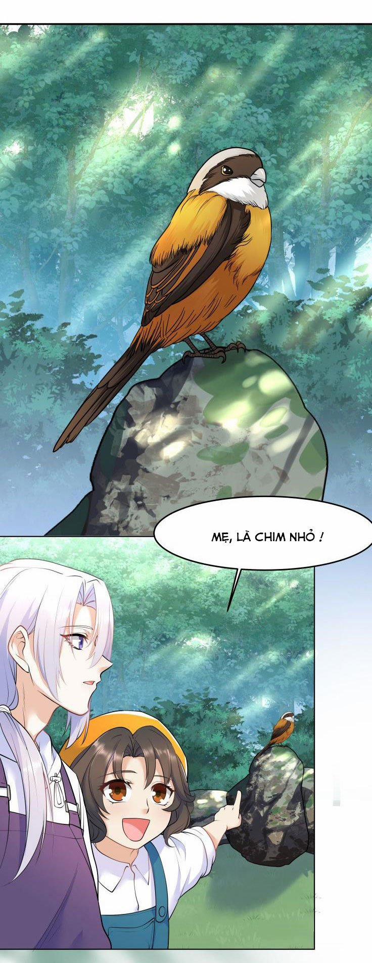 Trần Thương 25 trang 34