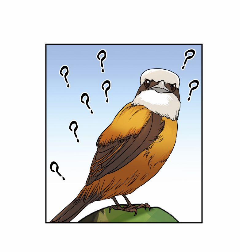 Trần Thương 26 trang 27