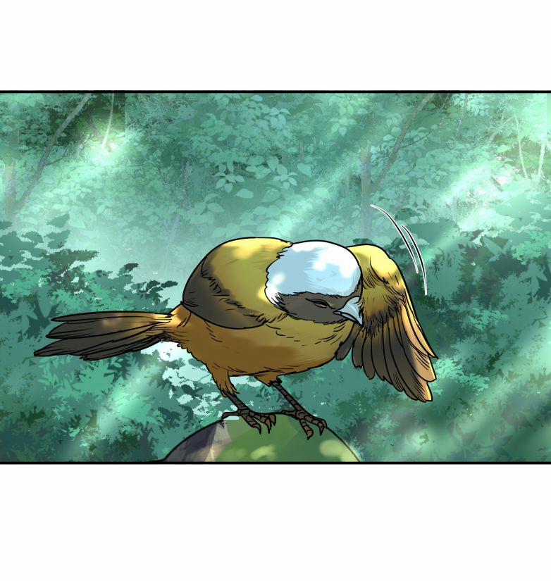 Trần Thương 26 trang 28