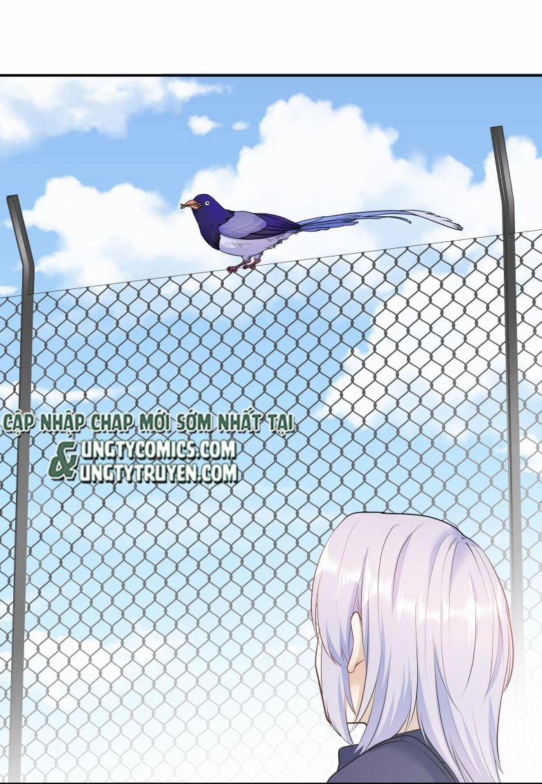 Trần Thương 26 trang 5