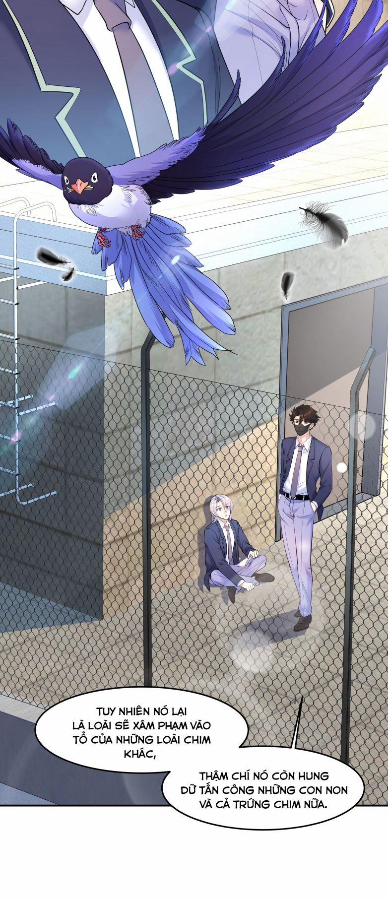 Trần Thương 26 trang 7