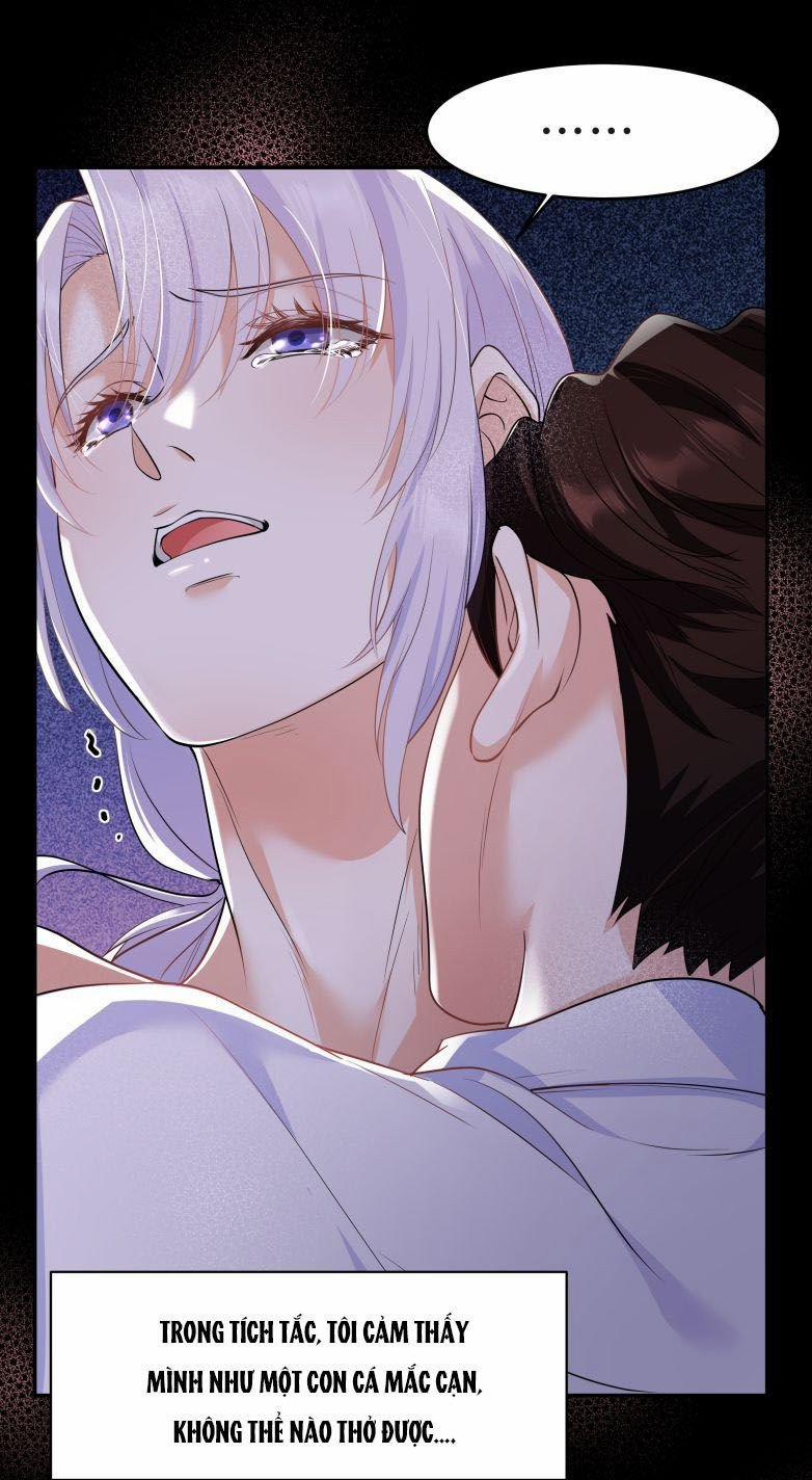 Trần Thương 41 trang 52