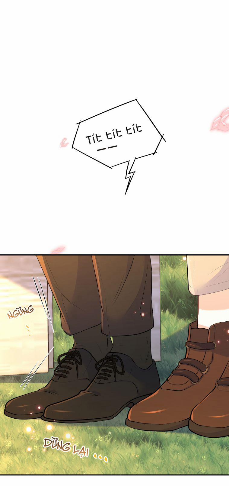 Trần Thương 50 trang 18