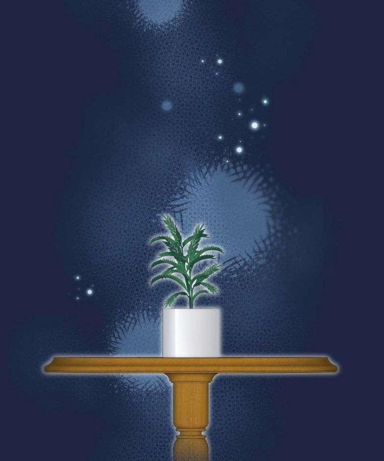 Trần Thương 59 trang 40