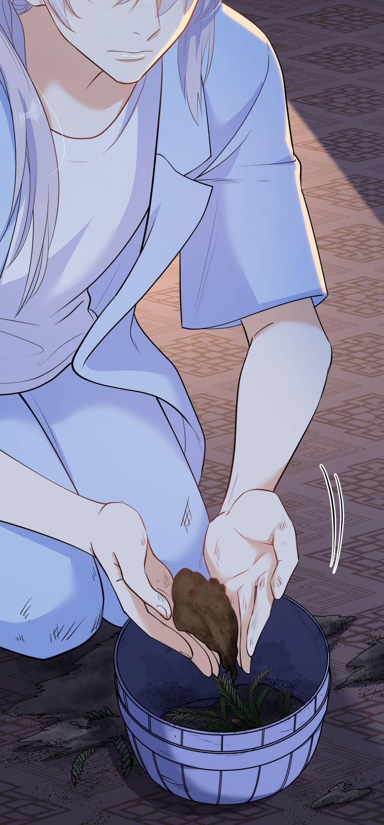 Trần Thương 64 trang 4