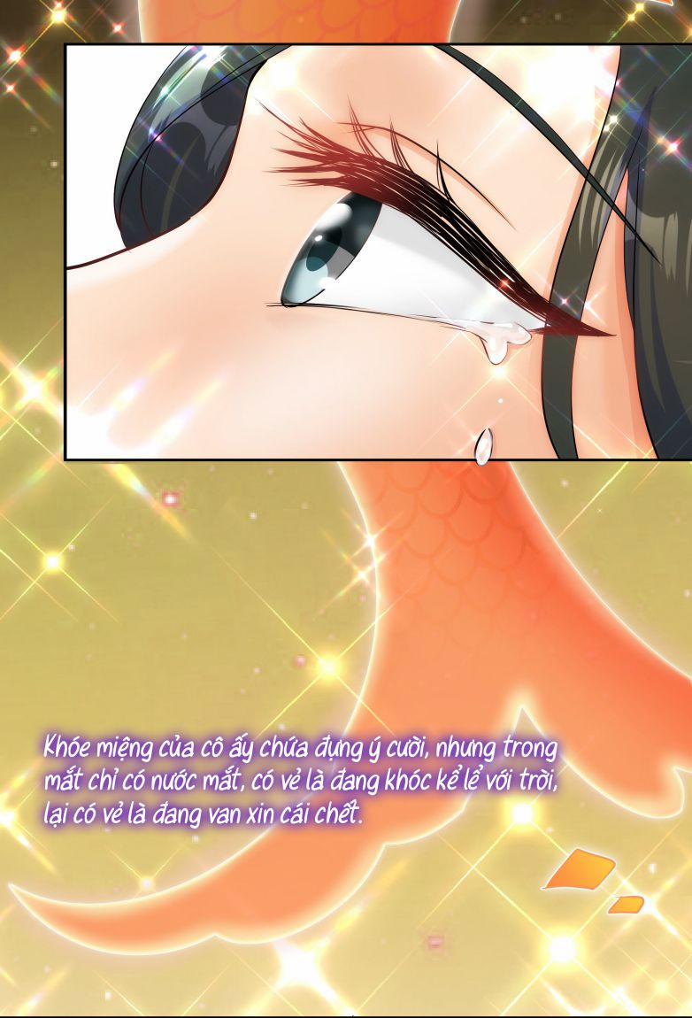 Trần Thương 66 trang 47