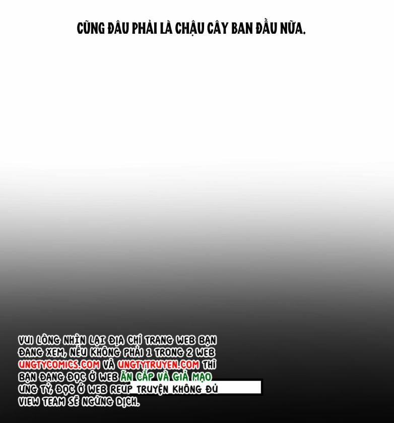 Trần Thương 70 trang 9