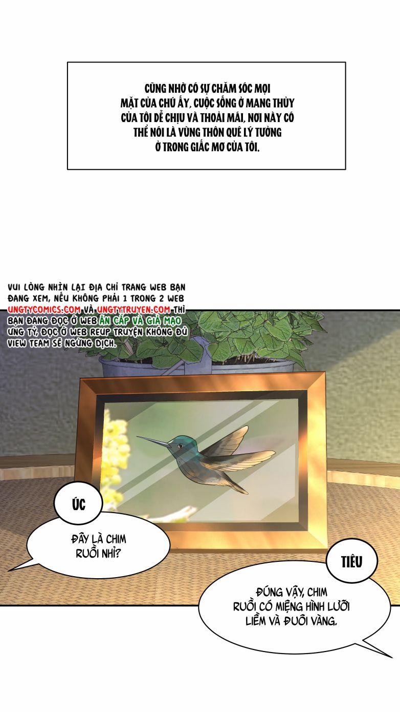 Trần Thương 71 trang 31