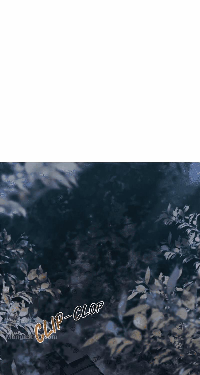 Trăng Máu 15 trang 0