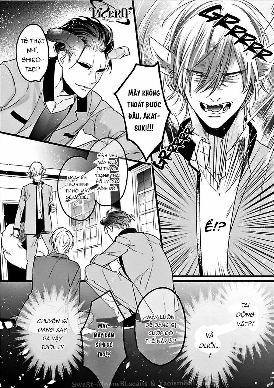 Trăng Sáng Xuất Hiện Nơi Khu Rừng Huyền Bí 1 trang 17