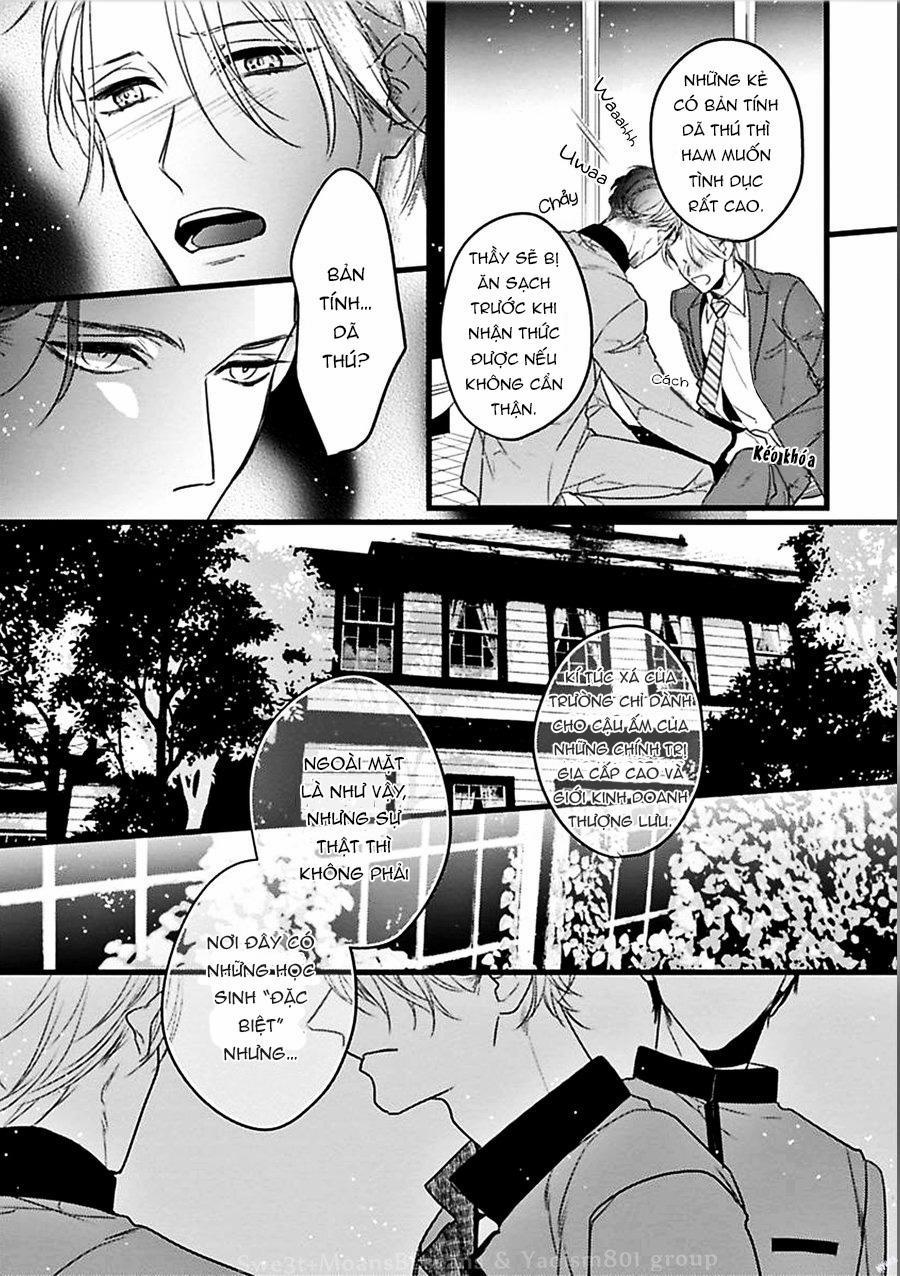 Trăng Sáng Xuất Hiện Nơi Khu Rừng Huyền Bí 1 trang 26