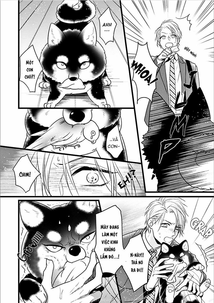 Trăng Sáng Xuất Hiện Nơi Khu Rừng Huyền Bí 1 trang 7