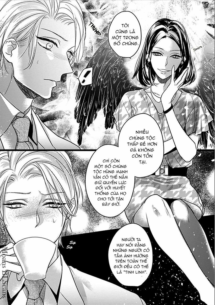 Trăng Sáng Xuất Hiện Nơi Khu Rừng Huyền Bí 3 trang 4