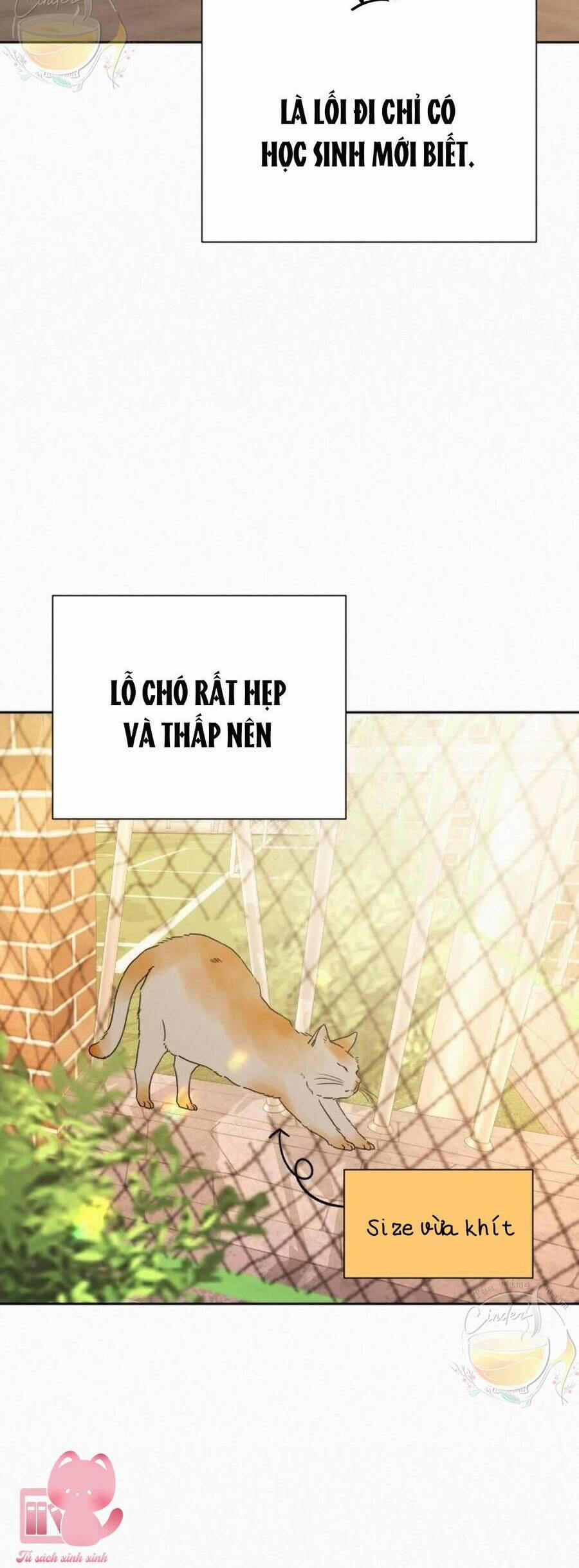 Trăng Tối: Kỉ Nguyên Máu 44 trang 38