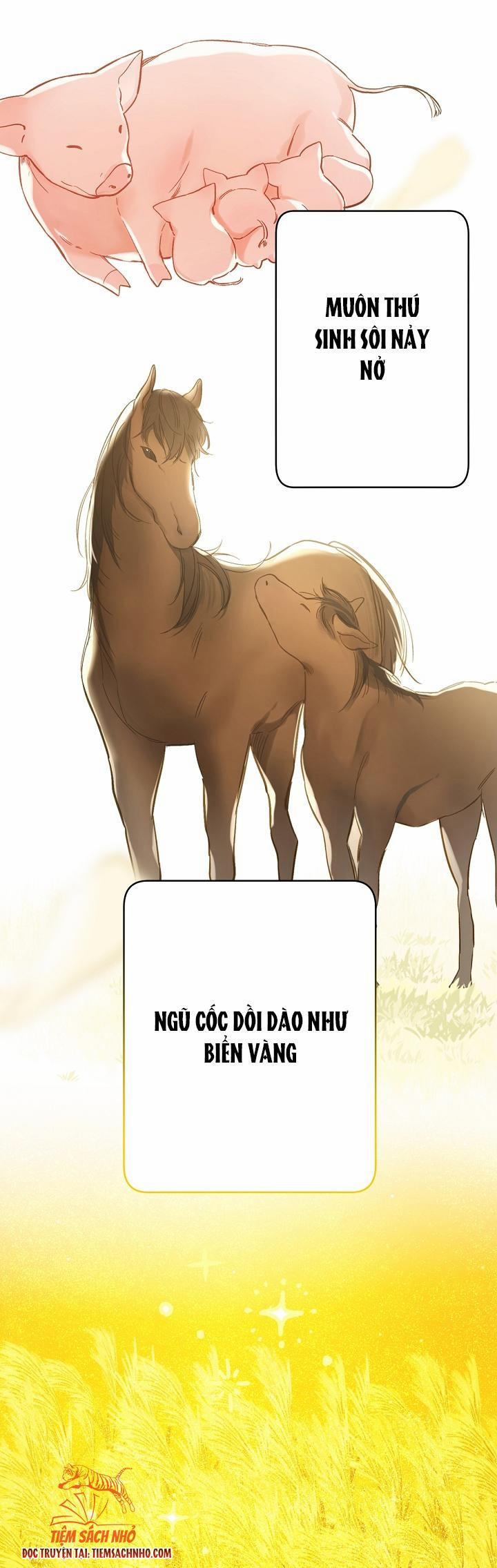 Trang Trại Hạt Dẻ Gần Cung Điện Hoàng Gia 1.5 trang 5