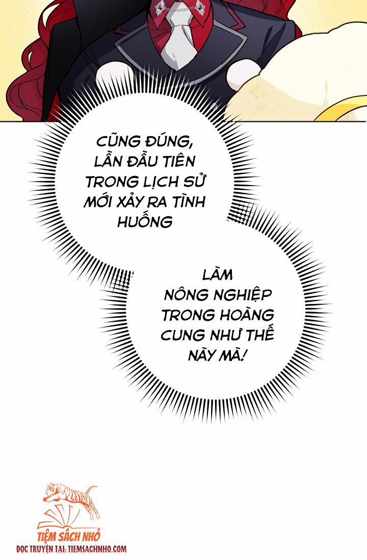 Trang Trại Hạt Dẻ Gần Cung Điện Hoàng Gia 12 trang 35