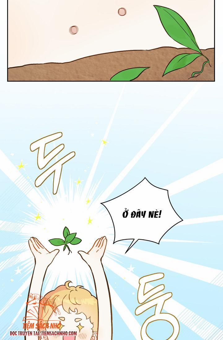 Trang Trại Hạt Dẻ Gần Cung Điện Hoàng Gia 20.5 trang 9