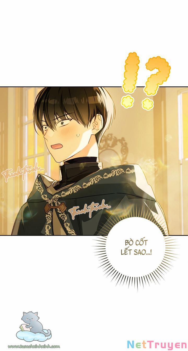 Trang Trại Hạt Dẻ Gần Cung Điện Hoàng Gia 27 trang 1