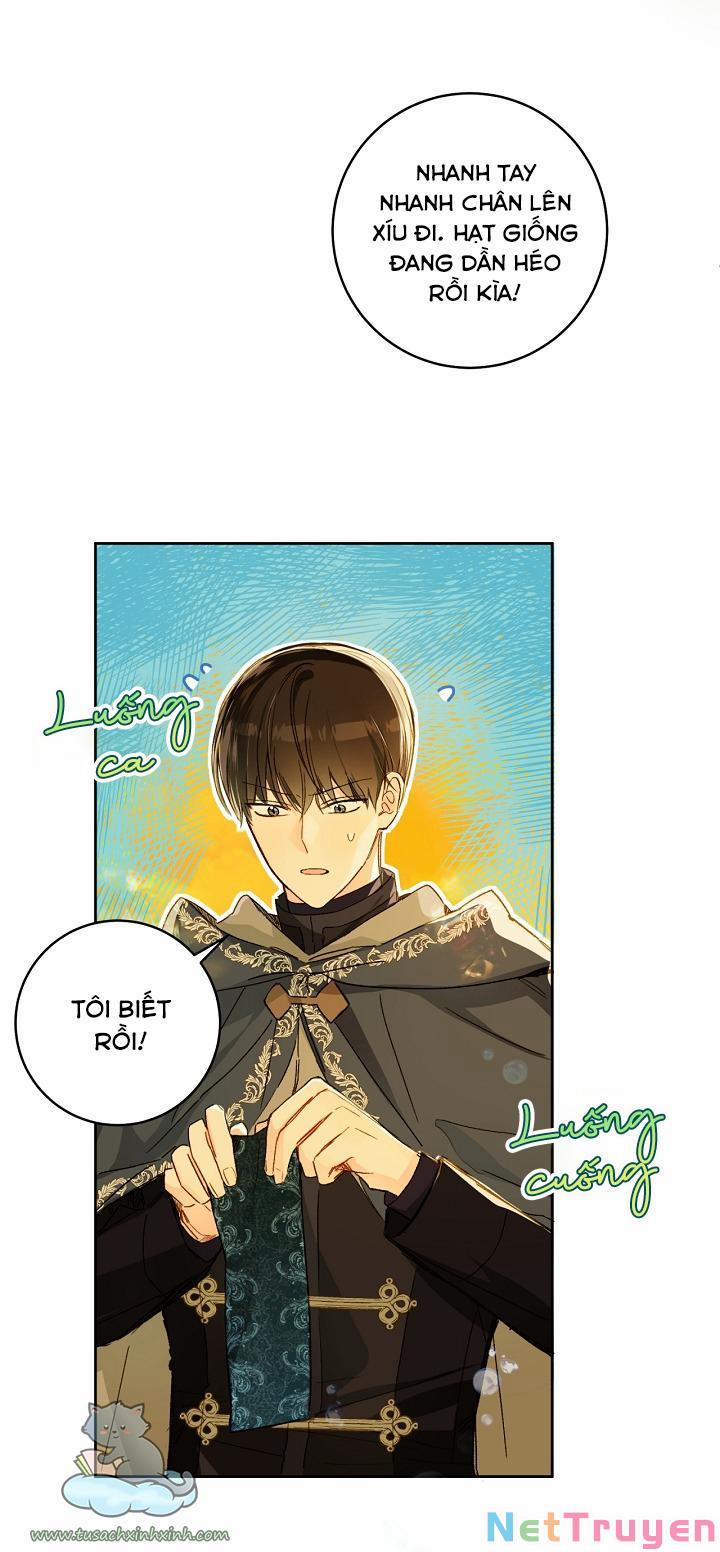 Trang Trại Hạt Dẻ Gần Cung Điện Hoàng Gia 27 trang 12