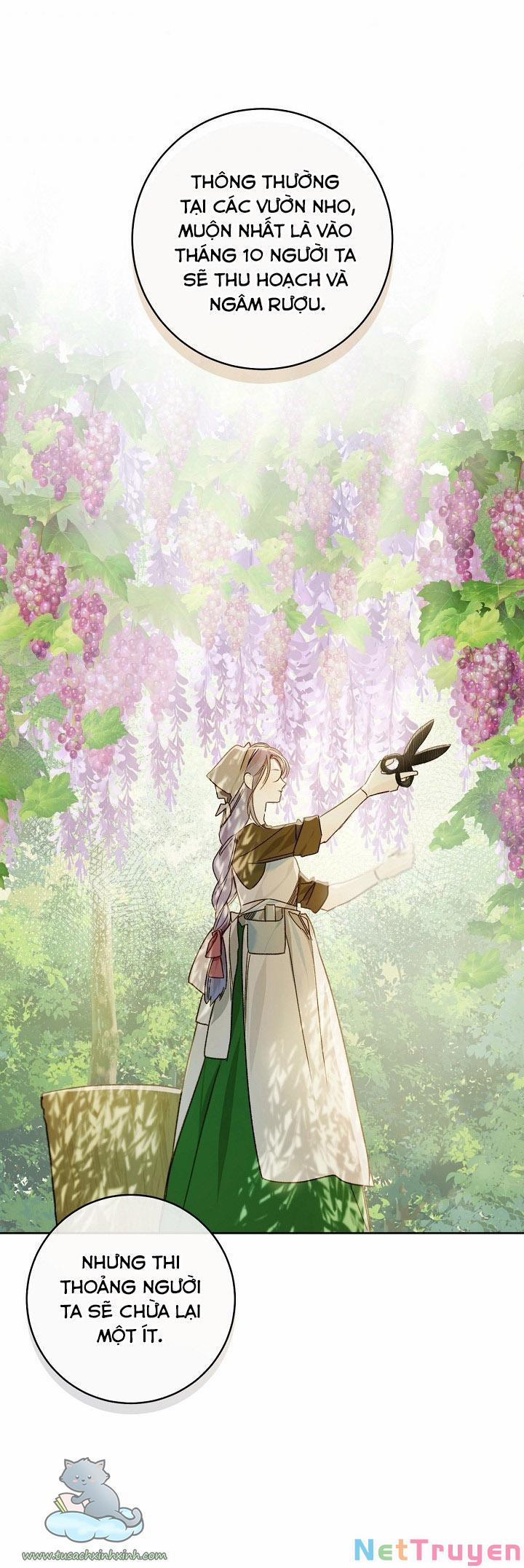 Trang Trại Hạt Dẻ Gần Cung Điện Hoàng Gia 27 trang 64