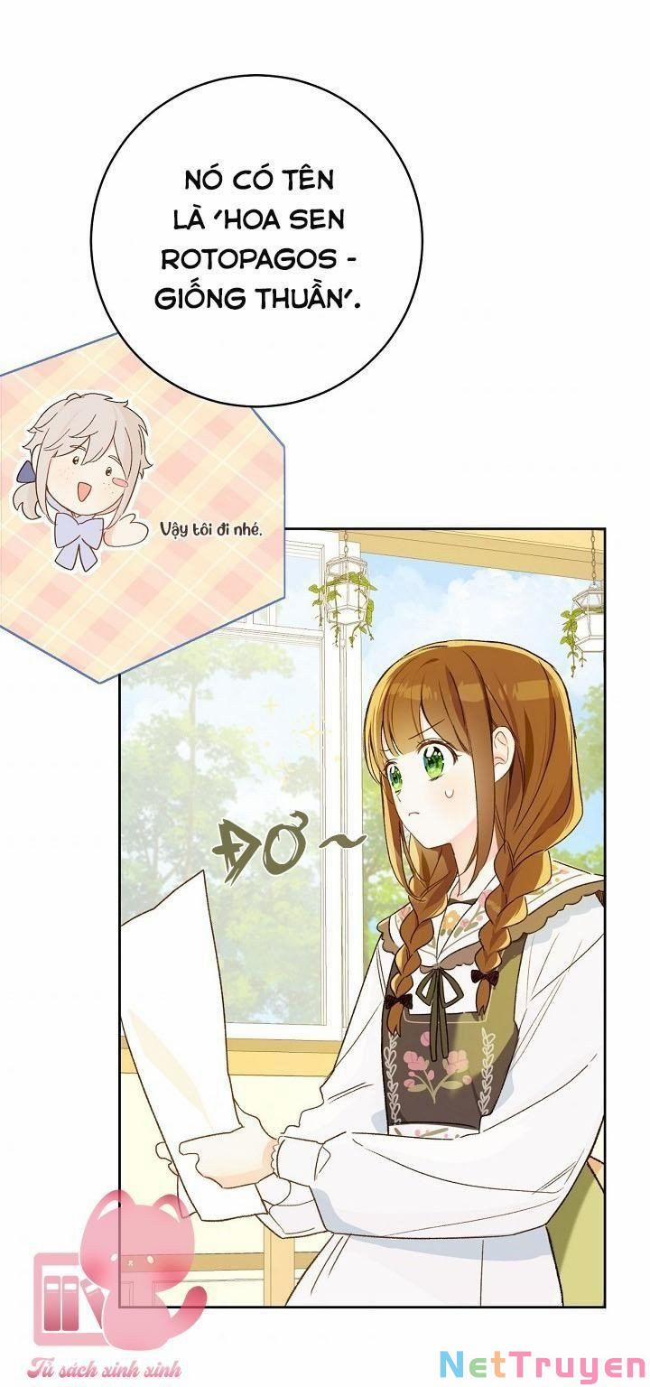 Trang Trại Hạt Dẻ Gần Cung Điện Hoàng Gia 28 trang 58