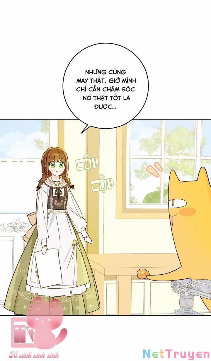 Trang Trại Hạt Dẻ Gần Cung Điện Hoàng Gia 28 trang 60