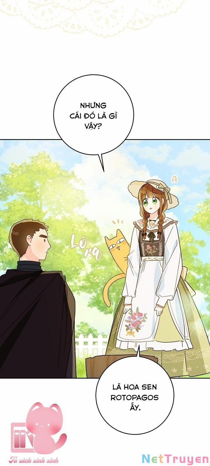 Trang Trại Hạt Dẻ Gần Cung Điện Hoàng Gia 28 trang 68