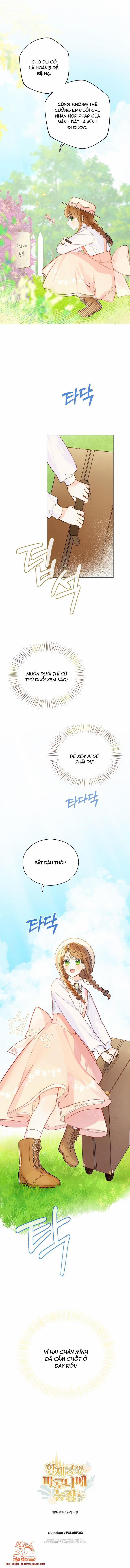 Trang Trại Hạt Dẻ Gần Cung Điện Hoàng Gia 3.5 trang 1