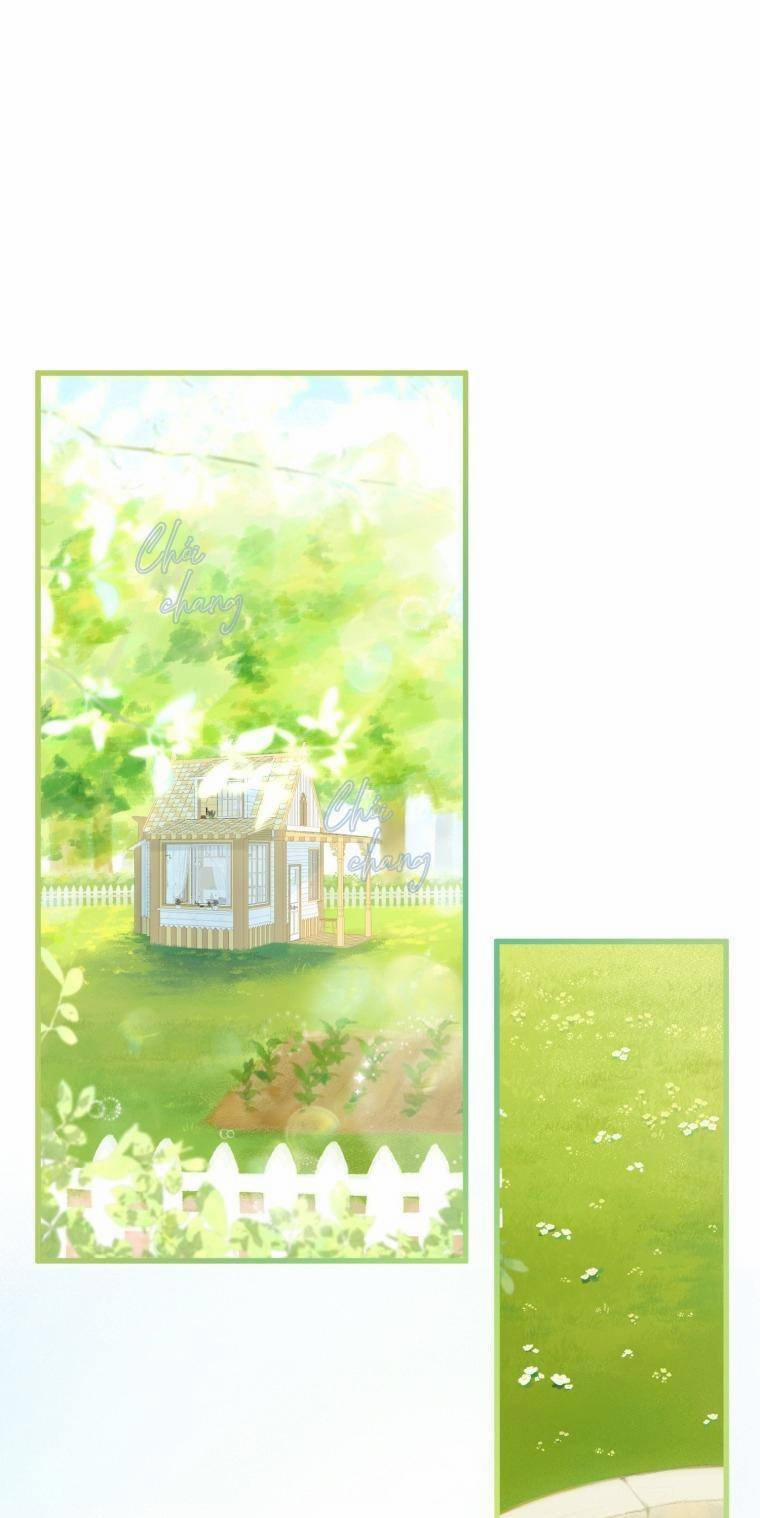 Trang Trại Hạt Dẻ Gần Cung Điện Hoàng Gia 44 trang 20