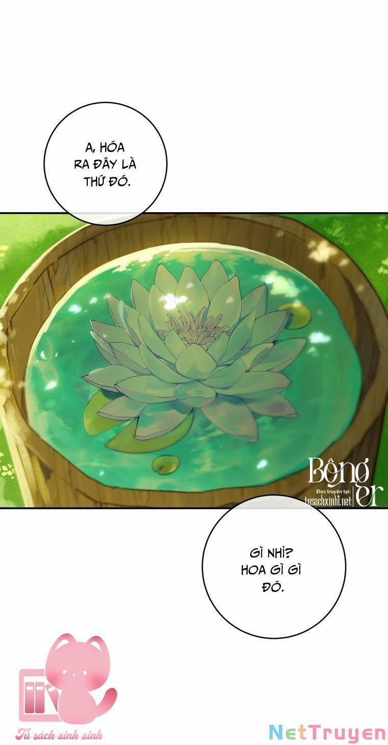 Trang Trại Hạt Dẻ Gần Cung Điện Hoàng Gia 44 trang 26