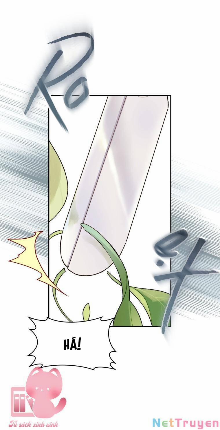 Trang Trại Hạt Dẻ Gần Cung Điện Hoàng Gia 44 trang 65