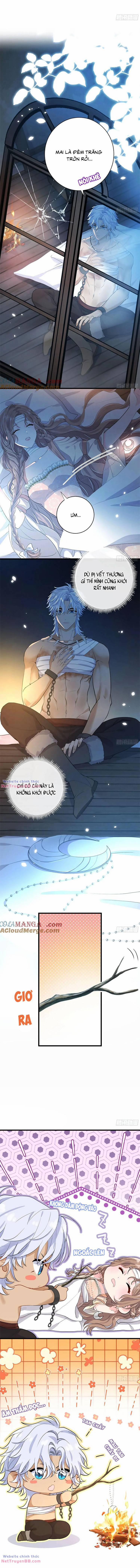 Trăng Tròn Chia Hoan 16 trang 1